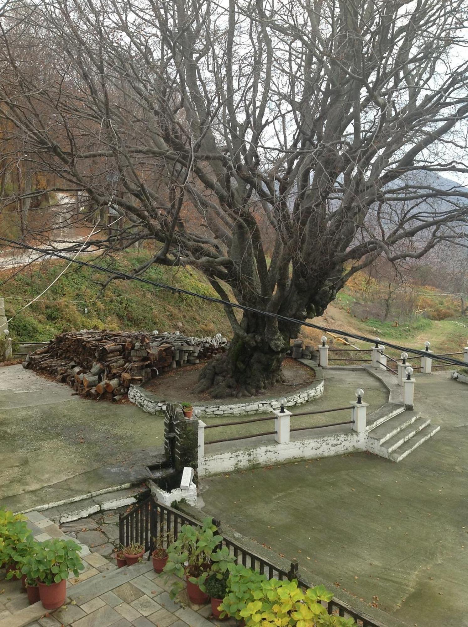 Hotel Hani Zisi Ханья Экстерьер фото